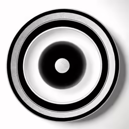 a black and white round object against a white background