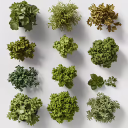 there are small green plants on the side of a white wall