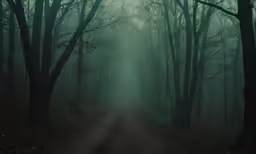fog in the dark woods of an empty dirt road