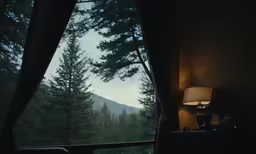 there is a view of the trees out the window