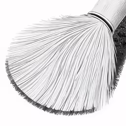 black and white photo of a brush that is lying down