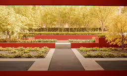 a pathway lined with plants leads through a garden