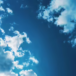 the bird flies through the blue cloudy sky