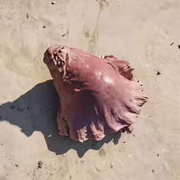 a dirt animal lying on the ground covered in mud