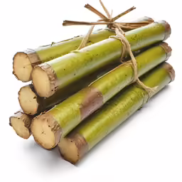 small bundles of cut up green bamboo sticks