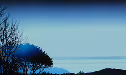 a silhouette is seen in the blue and white sky,a single tree in a field with blue sky