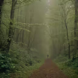a man walking down a dark forest path