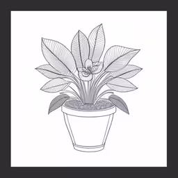 a drawing of a plant in a pot,a drawing of a plant in a pot