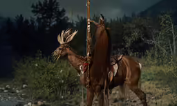 a moose is on the side of the road
