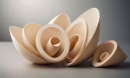several circles of natural wood sit stacked together