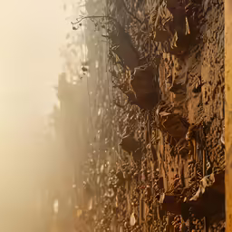 a bus moving down a street in front of an old wall