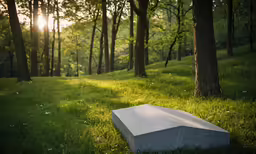 a concrete block in the middle of a forest