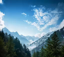 a view of a mountain range with some trees on either side