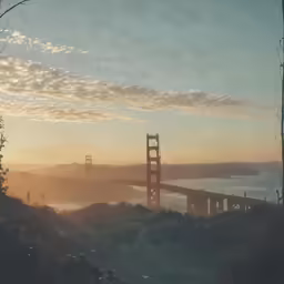 a hazy view of a bridge and trees near a bay
