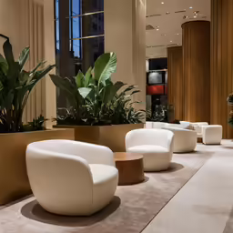 some modern furniture and a potted plant in a room