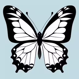 a butterfly with black and white wings on a light blue background,a large white butterfly with long wings