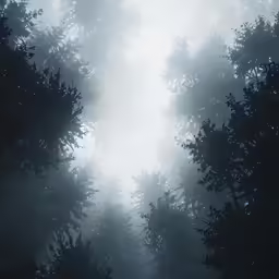 a black and white photo with a forest and sky in the background