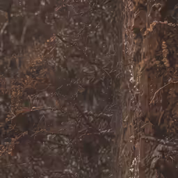 two birds that are standing by some trees