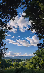 there are some clouds in the blue sky above the trees