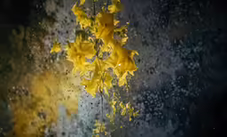 flowers with drops of water coming from them and a sky in the background