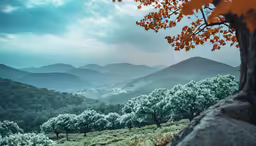an autumn landscape with trees and mountain view