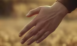 hands held in opposite directions outdoors in the sun