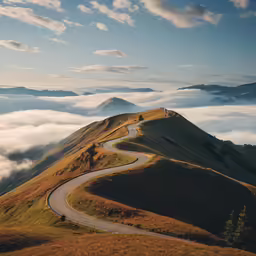 the road is winding down the hill in the morning