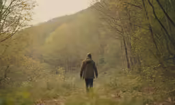 a person walking through the woods in the wilderness