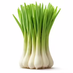 fresh green onions on white background