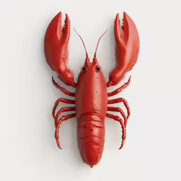 a close - up shot of a lobster with sharp claws