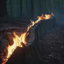 fire burns in the woods, near wood posts