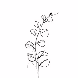 a plant with a very thin stem on top