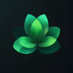 a large green leaf is sitting on a black surface
