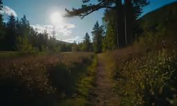 the sun is shining above a wooded hillside and dirt path