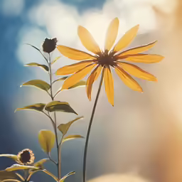 a large sunflower stands tall over other plants