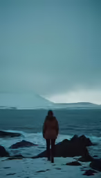 person walking in front of ocean and snowy mountains