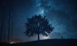 a large tree in the middle of the night