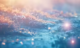 an icy area with tiny snow and grass