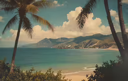 palm trees sit on the beach as the sun reflects on water