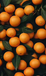 a bunch of oranges with green leaves on them