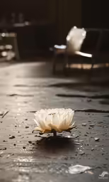 white flower on the ground next to chair