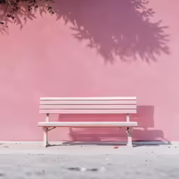 a bench in front of pink wall next to plant