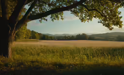 a view of trees, grass and mountains on a sunny day