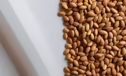 a pile of nuts sitting on top of a table