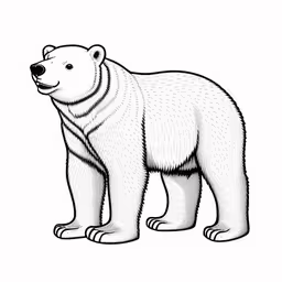 /tmp/FOORnsscQ.jpg = a white bear with the outline on it