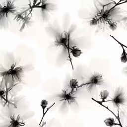 the pattern of a flower is black and white