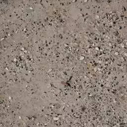 gravel with rocks and pebbles scattered around it