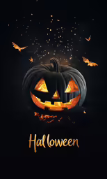 a black and orange pumpkin on a dark background