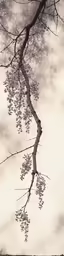 some leaves are hanging off the branches of trees