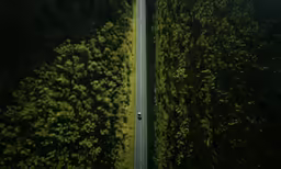 a road sign next to a large wall of plants